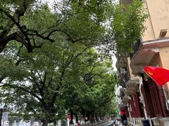 -白天鹅宾馆·流浮阁咖啡厅