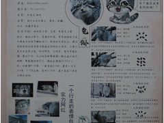 -青藏高原野生动物园