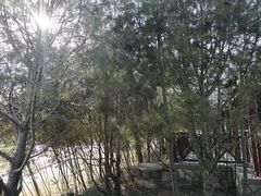 -北坞公园