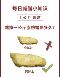 -Fundi张玉珊修身堂·indiba·BTL科技瘦身
