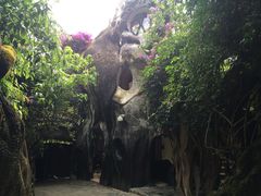 -疯狂屋