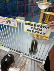 -神奇动物撸宠馆·羊驼·小浣熊·异宠(豫园店)
