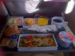 -新加坡航空公司(ION)