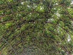 -武汉紫薇都市田园