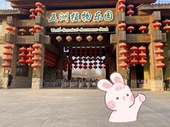 -南宫五洲植物乐园