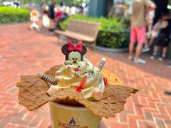 -IL paperino帕帕里诺冰激凌