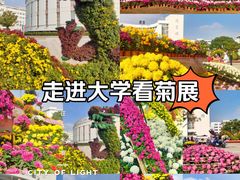 -上海大学(宝山校区)