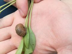 -艾溪湖湿地公园