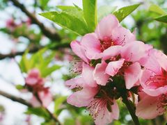 -九里河湿地公园
