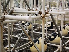 -证大喜玛拉雅中心