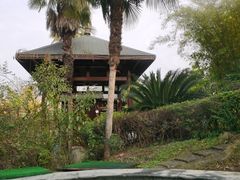 -咸宁万豪温泉谷度假区