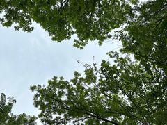 -黑龙江省森林植物园