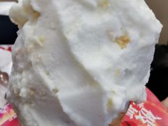 蜂蜜茉莉冰激凌-野人先生现做冰淇淋(北京环宇荟店)