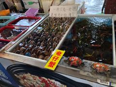 -南沙十九涌渔人码头-南门