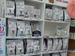 -东日国际动物医院·CT·心脏专科(桃源分院)