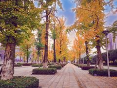 -百林公园-两江幸福广场