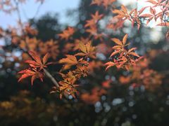 -杭州少年儿童公园