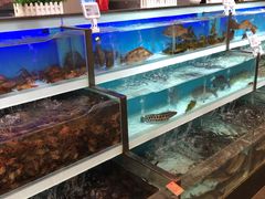 -盒马X会员店(王府井奥莱UP TOWN店)