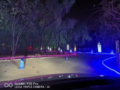 -枫花园汽车电影院(朝阳公园店)