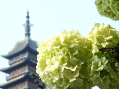 -常熟方塔园