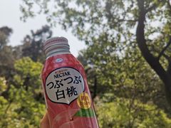 -敬亭山风景名胜区