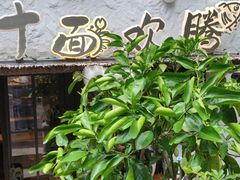 -十面欢腾·海鲜面·台式Bistro(长乐路店)