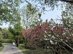 -国家植物园南园