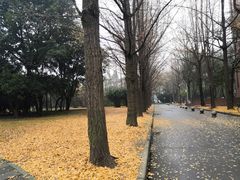-西南交通大学(九里校区)