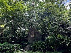 -福建鲤鱼洲酒店