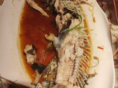 -巴特餐饮6加1音乐餐吧·新疆菜