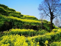 -婺源风景区