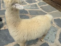 -南戴河国际娱乐中心