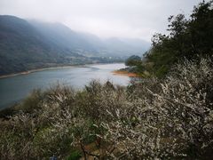 -广州市流溪河国家森林公园