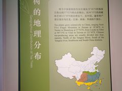 -中国茶叶博物馆(双峰馆区)