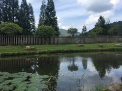 -毛泽东同志旧居