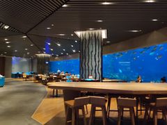 大堂-海棠湾洲际-涛·海底餐厅·美人鱼·自助餐·海底隧道