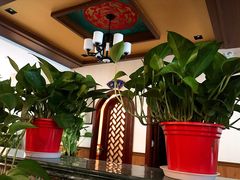 -老三羊汤【北兴隆街店】