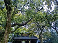 -岳王庙