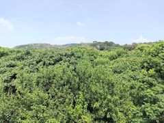 -白马涧龙池景区