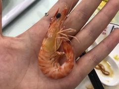 -渔码头食府·20年蓬莱老字号(登州路店)