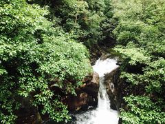 -泰州凤城河风景区-泰山公园