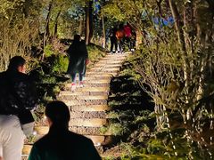 -千岛湖天屿景区