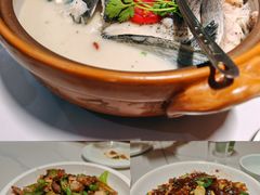 -全乐鱼馆·淳牌有机鱼直营店