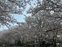 -玄武湖景区-情侣园游乐场