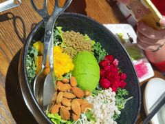 芥子酱羽翼甘蓝沙拉-小大董·烤鸭(王府井apm店)