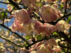 -荣家小吃(紫阳街店)