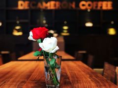 -DECAMERON十日谈(卓悦汇店)