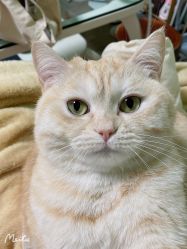 -齐伽生活馆·瑜伽·普拉提·阿育吠陀