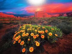 -罗红摄影艺术馆