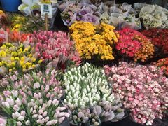 -循礼门鲜花花市(武汉循礼门店)